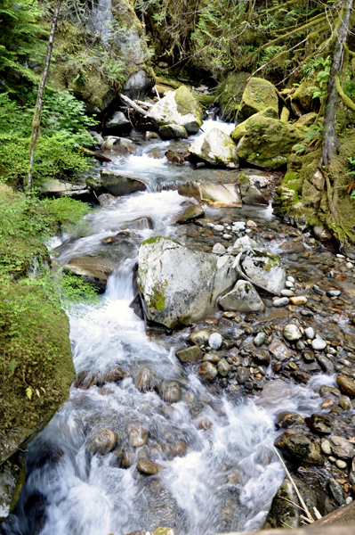 The creek at Ladder Creek Falls
